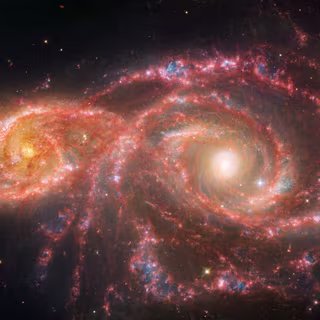 La palette macabre de ces galaxies est due à un mélange de lumière infrarouge moyenne provenant du télescope spatial James-Webb de la Nasa et de lumière visible et ultraviolette provenant du télescope spatial Hubble de la Nasa. Ces deux galaxies se sont effleurées il y a des millions d’années. La plus petite spirale à gauche, cataloguée comme IC 2163, est passée derrière NGC 2207, la plus grande galaxie spirale à droite. Les deux galaxies ont un taux de formation d’étoiles accru. Ensemble, on estime qu’elles forment l’équivalent de deux douzaines de nouvelles étoiles de la taille du Soleil chaque année. Notre Galaxie, la Voie lactée, forme l’équivalent de deux ou trois nouvelles étoiles semblables au Soleil par an. Les deux galaxies ont accueilli sept supernovae connues, chacune d’entre elles ayant peut-être libéré de l’espace dans leurs bras, réorganisant le gaz et la poussière qui se sont ensuite refroidis, et permis la formation de nombreuses nouvelles étoiles. (Trouvez ces zones en recherchant les régions les plus bleues.) © Nasa, ESA, CSA, STScI
